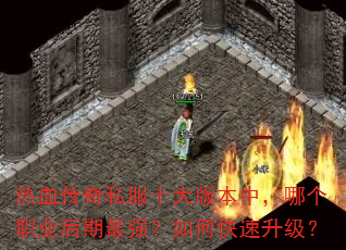 ��Ѫ����˽��ʮ��汾�У��ĸ�ְҵ������ǿ����ο���������