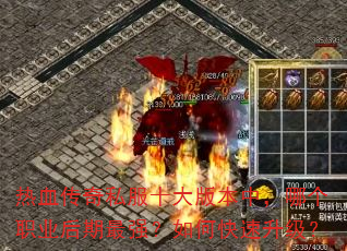 ��Ѫ����˽��ʮ��汾�У��ĸ�ְҵ������ǿ����ο���������