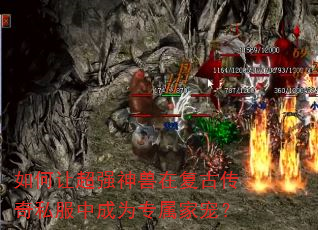 ����ó�ǿ�����ڸ��Ŵ���˽���г�Ϊר���ҳ裿