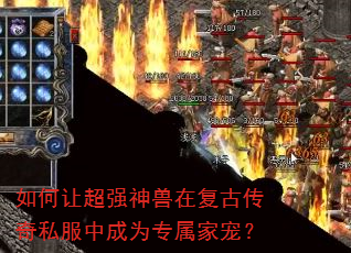 ����ó�ǿ�����ڸ��Ŵ���˽���г�Ϊר���ҳ裿