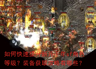 如何快速提升新开千年sf角色等级?装备获取攻略有哪些? 如何快速提升新开千年sf角色等级?装备获取攻略有哪些?