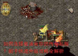 如何选择最适合你的传奇私服?新手快速升级攻略全解析 如何选择最适合你的传奇私服?新手快速升级攻略全解析