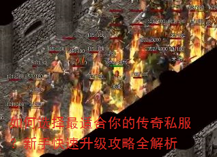 如何选择最适合你的传奇私服?新手快速升级攻略全解析 如何选择最适合你的传奇私服?新手快速升级攻略全解析