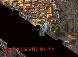 难道说道士后期真的很弱吗? 难道说道士后期真的很弱吗?