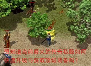 想知道当前最火的传奇私服如何快速升级与获取顶级装备吗? 想知道当前最火的传奇私服如何快速升级与获取顶级装备吗?
