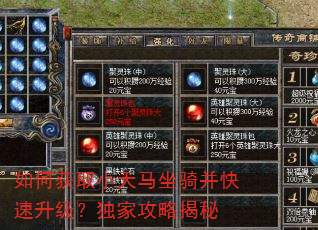 如何获取小天马坐骑并快速升级?独家攻略揭秘 如何获取小天马坐骑并快速升级?独家攻略揭秘