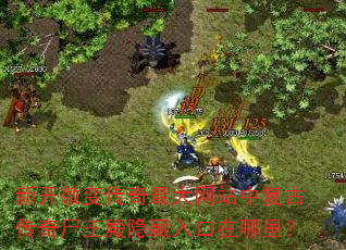 �¿�΢�䴫�������վ�и��Ŵ���ʬ����������������