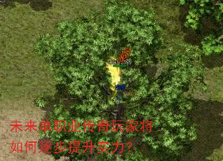 δ����ְҵ������ҽ����������ʵ����