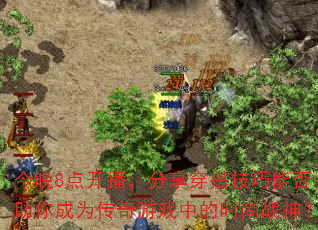 ����8�㿪��������������ܷ������Ϊ������Ϸ�е�ʱ��ս��