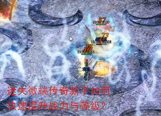 ��ʧ΢�˴���������ο�������ս����ȼ���