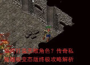 ��δ����޵н�ɫ������˽��������̬���ռ����Խ���
