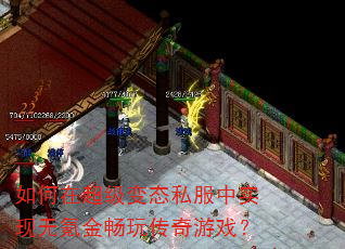 ����ڳ�����̬˽����ʵ����봽��洫����Ϸ��