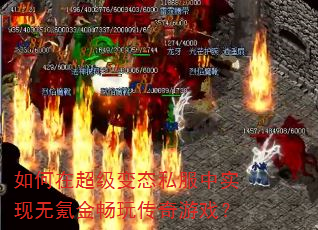 ����ڳ�����̬˽����ʵ����봽��洫����Ϸ��