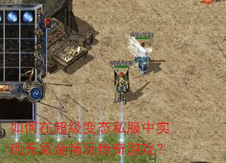 ����ڳ�����̬˽����ʵ����봽��洫����Ϸ��
