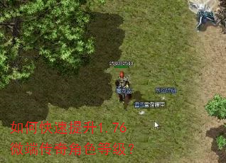 如何快速提升1.76微端传奇角色等级? 如何快速提升1.76微端传奇角色等级?